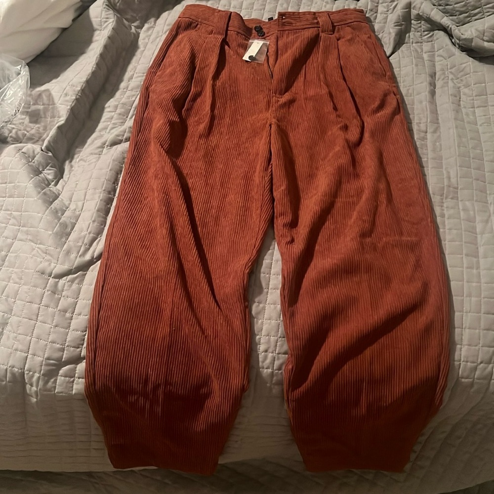 Madewell corduroy rust colored pants